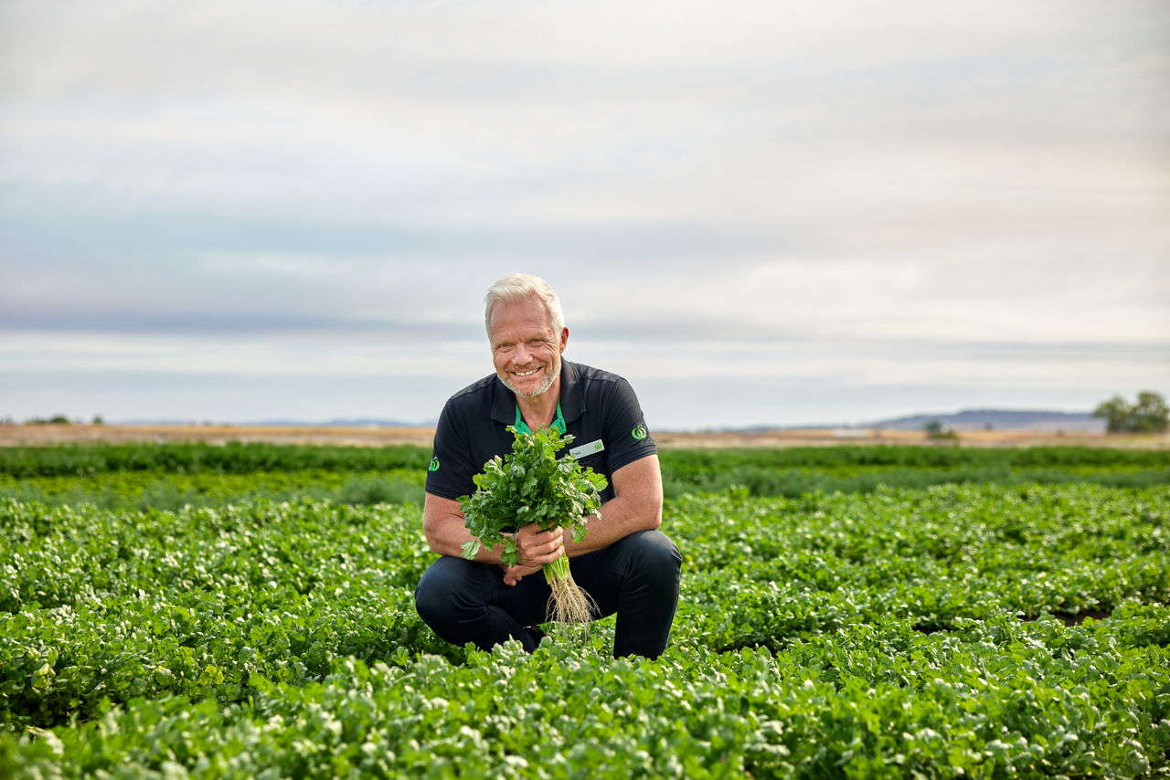 responsible sourcing